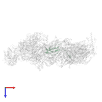 NADH dehydrogenase [ubiquinone] 1 alpha subcomplex subunit 8 in PDB entry 8rgq, assembly 1, top view.