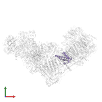 NADH dehydrogenase [ubiquinone] 1 alpha subcomplex subunit 11 in PDB entry 8rgq, assembly 1, front view.