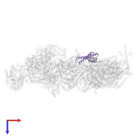 NADH dehydrogenase [ubiquinone] 1 alpha subcomplex subunit 11 in PDB entry 8rgq, assembly 1, top view.