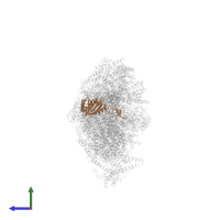 NADH dehydrogenase [ubiquinone] iron-sulfur protein 3, mitochondrial in PDB entry 8rgq, assembly 1, side view.