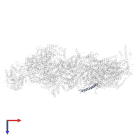 NADH dehydrogenase [ubiquinone] 1 subunit C1, mitochondrial in PDB entry 8rgq, assembly 1, top view.