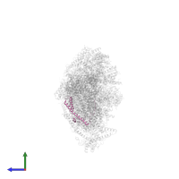 NADH dehydrogenase [ubiquinone] 1 subunit C2 in PDB entry 8rgq, assembly 1, side view.