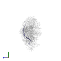 NADH dehydrogenase [ubiquinone] 1 beta subcomplex subunit 5, mitochondrial in PDB entry 8rgq, assembly 1, side view.