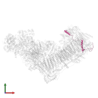 NADH dehydrogenase [ubiquinone] 1 beta subcomplex subunit 6 in PDB entry 8rgq, assembly 1, front view.