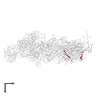 NADH dehydrogenase [ubiquinone] 1 beta subcomplex subunit 6 in PDB entry 8rgq, assembly 1, top view.