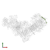 NADH dehydrogenase [ubiquinone] 1 beta subcomplex subunit 2, mitochondrial in PDB entry 8rgq, assembly 1, front view.