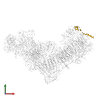 NADH dehydrogenase [ubiquinone] 1 beta subcomplex subunit 3 in PDB entry 8rgq, assembly 1, front view.