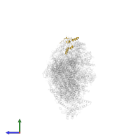 NADH dehydrogenase [ubiquinone] 1 beta subcomplex subunit 3 in PDB entry 8rgq, assembly 1, side view.