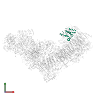 NADH dehydrogenase [ubiquinone] 1 beta subcomplex subunit 9 in PDB entry 8rgq, assembly 1, front view.