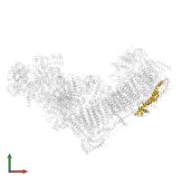 NADH dehydrogenase [ubiquinone] 1 beta subcomplex subunit 10 in PDB entry 8rgq, assembly 1, front view.