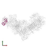 NADH dehydrogenase [ubiquinone] flavoprotein 2, mitochondrial in PDB entry 8rgq, assembly 1, front view.