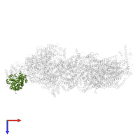 NADH dehydrogenase [ubiquinone] flavoprotein 1, mitochondrial in PDB entry 8rgq, assembly 1, top view.