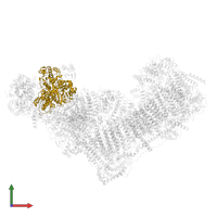 NADH-ubiquinone oxidoreductase 75 kDa subunit, mitochondrial in PDB entry 8rgq, assembly 1, front view.