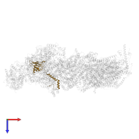 NADH dehydrogenase [ubiquinone] iron-sulfur protein 8, mitochondrial in PDB entry 8rgq, assembly 1, top view.