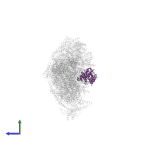 NADH dehydrogenase [ubiquinone] 1 alpha subcomplex subunit 9, mitochondrial in PDB entry 8rgq, assembly 1, side view.