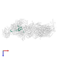 NADH dehydrogenase [ubiquinone] iron-sulfur protein 4, mitochondrial in PDB entry 8rgq, assembly 1, top view.