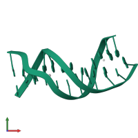 DNA (5'-D(*CP*GP*CP*GP*AP*AP*TP*TP*CP*GP*CP*G)-3') in PDB entry 8ri5, assembly 1, front view.