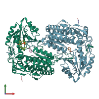 PDB entry 8rkr coloured by chain, front view.