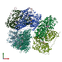 PDB entry 8rpj coloured by chain, front view.