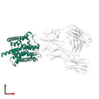 Hepatic sodium/bile acid cotransporter in PDB entry 8rqf, assembly 1, front view.