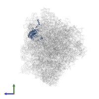 Ribosomal protein L3 in PDB entry 8rxh, assembly 1, side view.