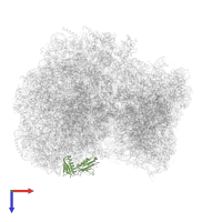 Large ribosomal subunit protein uL6 alpha-beta domain-containing protein in PDB entry 8rxh, assembly 1, top view.