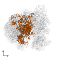 LSUb_rRNA_chain_2 in PDB entry 8rxh, assembly 1, front view.
