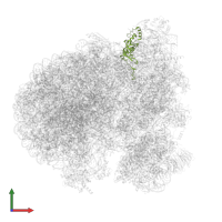 Small ribosomal subunit protein eS8 in PDB entry 8rxh, assembly 1, front view.