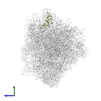 Small ribosomal subunit protein eS8 in PDB entry 8rxh, assembly 1, side view.