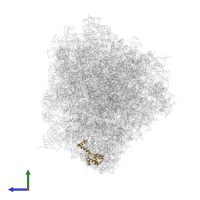 Ribosomal protein S18 in PDB entry 8rxh, assembly 1, side view.