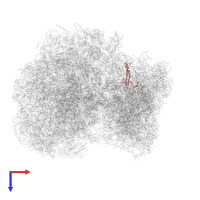 40S ribosomal protein S26 in PDB entry 8rxh, assembly 1, top view.