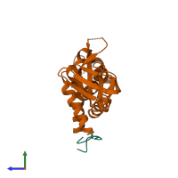 PDB entry 8s4y coloured by chain, side view.