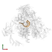 RNA in PDB entry 8s54, assembly 1, front view.