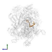 RNA in PDB entry 8s54, assembly 1, side view.