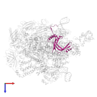 General transcription factor IIF subunit 2 in PDB entry 8s55, assembly 1, top view.