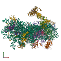 PDB entry 8s8d coloured by chain, front view.