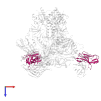 DH270.UCA. G57R light chain in PDB entry 8saw, assembly 1, top view.