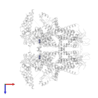 ZINC ION in PDB entry 8sew, assembly 1, top view.