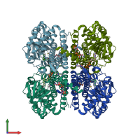 PDB entry 8sgs coloured by chain, front view.