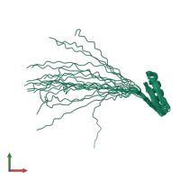 PDB entry 8shm coloured by chain, ensemble of 20 models, front view.