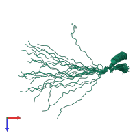 PDB entry 8shm coloured by chain, ensemble of 20 models, top view.