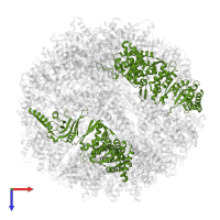 T-complex protein 1 subunit epsilon in PDB entry 8shp, assembly 1, top view.