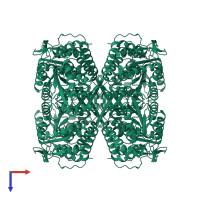 Aldehyde dehydrogenase, mitochondrial in PDB entry 8shs, assembly 1, top view.