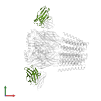 IgG2b Fab Heavy Chain in PDB entry 8si9, assembly 1, front view.