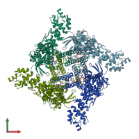 PDB entry 8sly coloured by chain, front view.