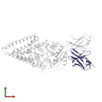 Fab15 light chain in PDB entry 8smn, assembly 1, front view.