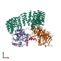 PDB entry 8so0 coloured by chain, front view.