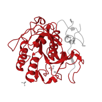 The deposited structure of PDB entry 8sog contains 1 copy of Pfam domain PF00082 (Subtilase family) in Proteinase K. Showing 1 copy in chain A.