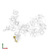 DNA (5'-D(*TP*TP*AP*GP*GP*GP*TP*TP*AP*G)-3') in PDB entry 8sok, assembly 1, front view.