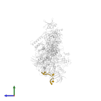 DNA (5'-D(*TP*TP*AP*GP*GP*GP*TP*TP*AP*G)-3') in PDB entry 8sok, assembly 1, side view.
